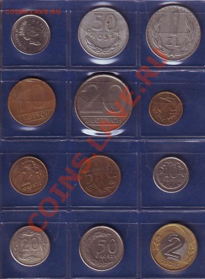 Солянка, прошу оценить - IMAGE0013.JPG