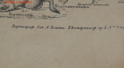 Учебный атлас Европейской России  1875г. - DSC_3161.JPG