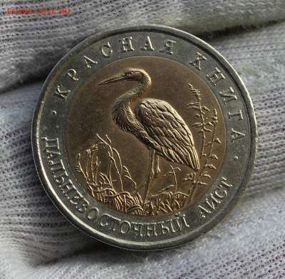 50 рублей 1993 года Дальневосточный аист (слойка) - IMG_8019.JPG