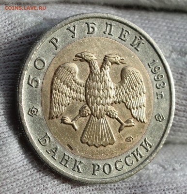 50 рублей 1993 года Дальневосточный аист (слойка) - IMG_8017.JPG