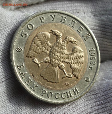 50 рублей 1993 года Дальневосточный аист (слойка) - IMG_8018.JPG