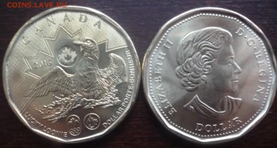 ДК Канада 1 доллар Олимпиада 2016 РИО ФИКС 19.03 22.00 - P1280944.JPG