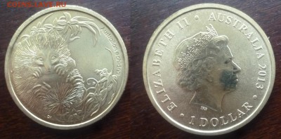 ДК Австралия 1 доллар 2013 Выхухоль 19.03 22.00 - P1280996.JPG