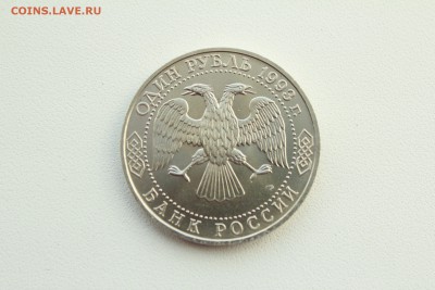  22:00 - IMG_0454.JPG