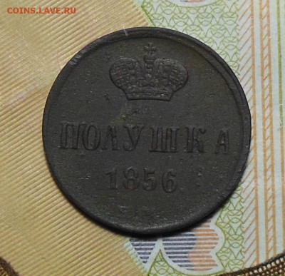 Полушка 1856 год ЕМ - Полушка 1856 год1