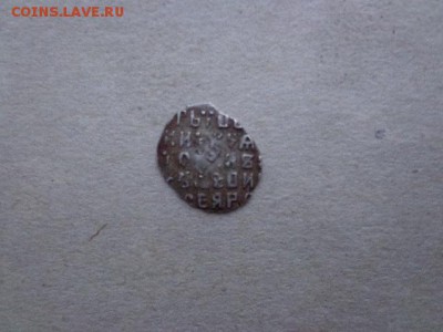 Две чешуйки на определение и оценку - DSC04962.JPG