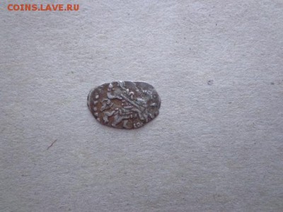 Две чешуйки на определение и оценку - DSC04966.JPG