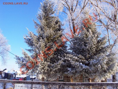 Подарки от moigala: 10р. юбилейка 2010г. - DSC03077.JPG