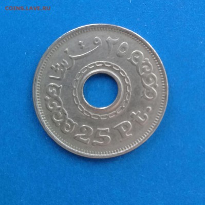 25 пиастров Египет,до 15.03. - 20170302_140834