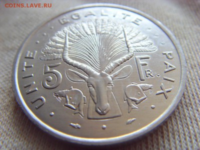 Джибути 5 франков 1991 до 18.03.2017 в 22:00 мск - SDC14570.JPG