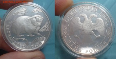 ДК 1 рубль Песчаный слепыш Серебро 20.03 22.00 - P1290041.JPG