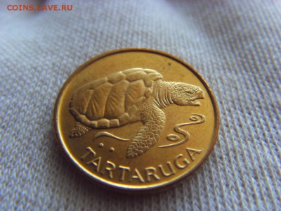 Кабо-Верде 1 эскудо 1994 черепаха до 18.03.2017 г. - SDC14551.JPG