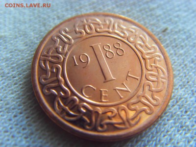 Суринам 1 цент 1988 до 18.03.2017 г. - SDC14537.JPG