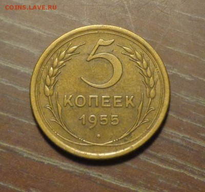 5 копеек 1955 хорошая до 21.03, 22.00 - 5 копеек 1955_1