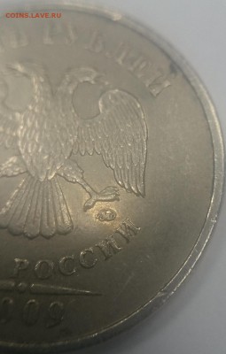 Определение разновидностей от Корс. - Г1.JPG