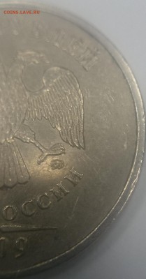 Определение разновидностей от Корс. - 09.JPG