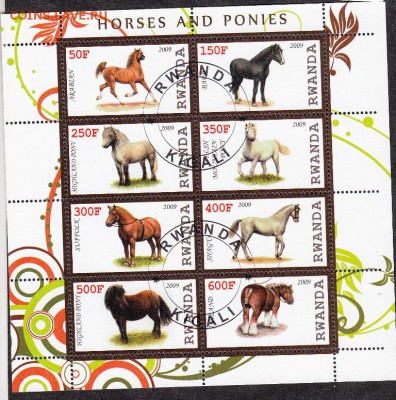 Руанда 2009 кони - 40