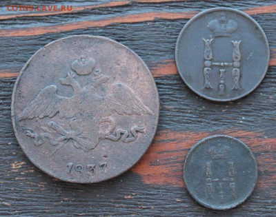 Набор меди (5 коп 1837, 1коп 1853, денежка 1854)до 17.03 - IMG_2059.JPG