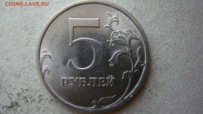 Вопросы по разновиднстям от сахарок - DSC00212.JPG