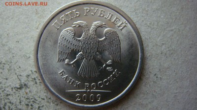 Вопросы по разновиднстям от сахарок - DSC00213.JPG