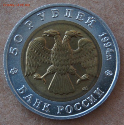 КК Сапсан в блеске до 18.03.2017 - DSC04993.JPG
