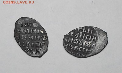 чешуйки 2 шт. - DSCF1900.JPG