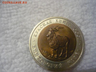 5 рублей 1991г. Винторогий козел серия «Красная книга» 1991г - P1040106.JPG