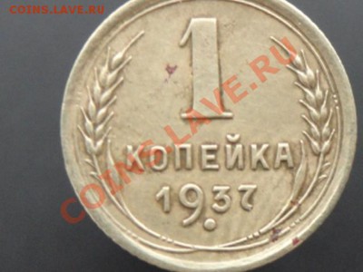 копейка - DSC00786.JPG