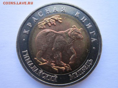 с 200 кк 1993 Медведь анц до 17.03.2017 в 22:30 - IMG_2733.JPG