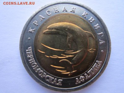 с 200 кк 1993 Афалина анц до 17.03.2017 в 22:30 - IMG_2731.JPG