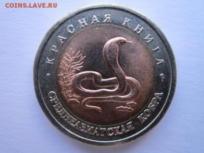 с 200 кк 1992 Кобра анц до 17.03.2017 в 22:30 - IMG_2726.JPG