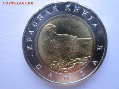 с 200 кк 1994 Сапсан анц до 17.03.2017 в 22:30 - IMG_2722.JPG
