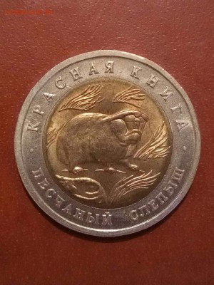 КК, слепыш,с 200 до 20.03 - image (5)