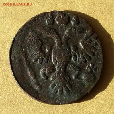 Полушка 1735г, есть БЛИЦ, до 23.03.2017г до 22.00 - P1100066