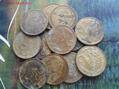 Двушки(ранние) 12 шт. до 20.03.2017 г. - SAM_0043.JPG