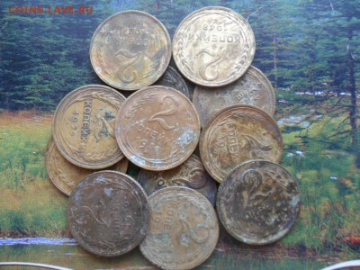 Двушки(ранние) 12 шт. до 20.03.2017 г. - SAM_0042.JPG