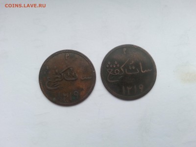 Суматра кипинги 1804, разновидности? - 20170318_151519