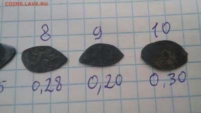 Чешуйки на определение - 20170318_171410-1