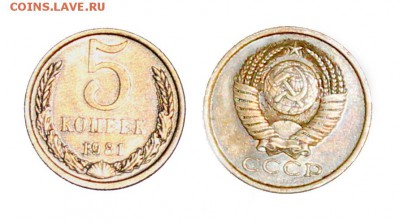 5коп 1981г-определение разновидности - 5-81