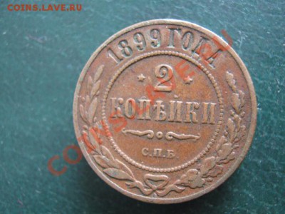 Потрёпанные жизнью медяки - IMG_3378