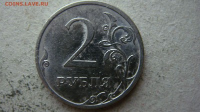 Вопросы по разновиднстям от сахарок - DSC00238.JPG