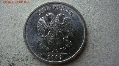 Вопросы по разновиднстям от сахарок - DSC00239.JPG