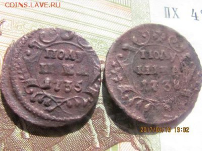 полушки 1835 и 1838 год - полушки перед