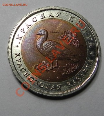 Кр.Книга 50руб. 1992г Краснозобая Казарка до 8.02.11 в 22.00 - 3а.JPG
