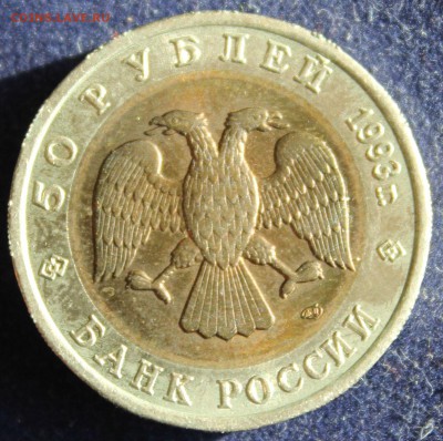 КРАСНАЯ КНИГА 50 руб.1993г. ГИМАЛАЙСКИЙ МЕДВЕДЬ до 25.03. - IMG_5159.JPG