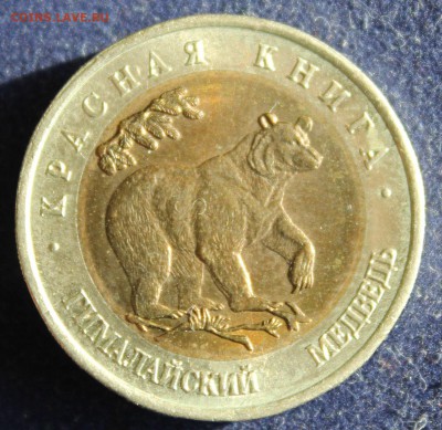 КРАСНАЯ КНИГА 50 руб.1993г. ГИМАЛАЙСКИЙ МЕДВЕДЬ до 25.03. - IMG_5158.JPG