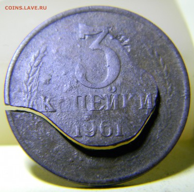 Браки или рукоблудство при жизни? - DSCN0310.JPG