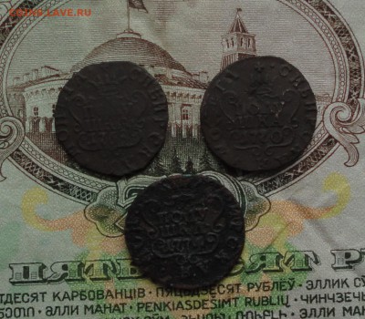 Сибирские полушки 3 монетки. До 22.03.17. - DSC05339.JPG
