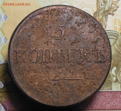 1 копейка 1831 год, 5 копеек 1831 год СМ - 5коп.1831год.1.