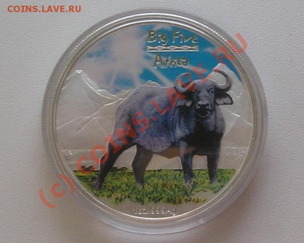 240 франков цветная Конго буйвол серебро 2008 - буйвол